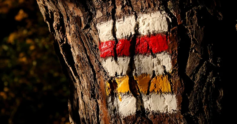 Choisir la bonne solution : un arbre de décision plutôt qu'une liste d'outils